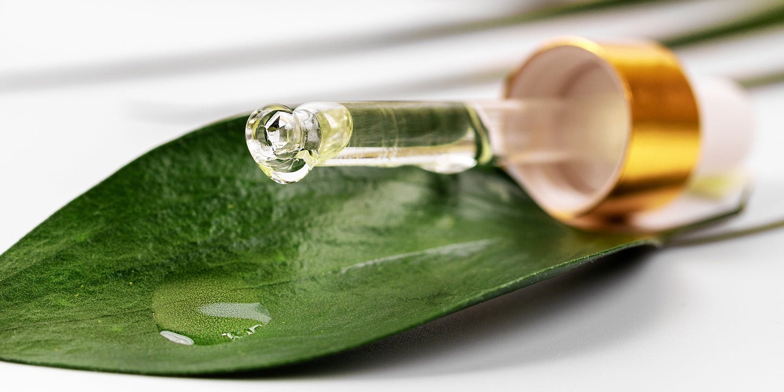 Tea Tree Oil